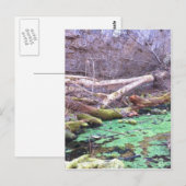 Grünhöhle Postkarte (Vorne/Hinten)
