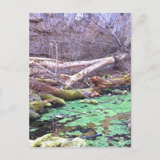 Grünhöhle Postkarte (Vorderseite)