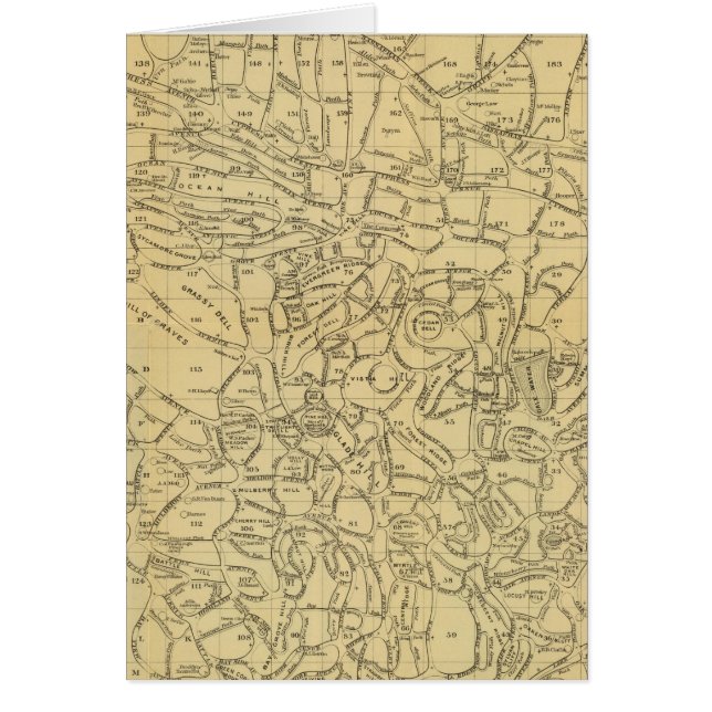 Grünholz-Friedhof (Vorne)