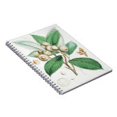 Grünholzeiche Notizblock (Rechte Seite)