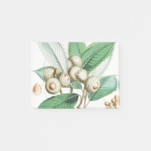 Grünholzeiche Post-it Klebezettel