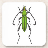Grünkäfer Getränkeuntersetzer (Vorderseite)