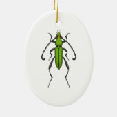 Grünkäfer Keramik Ornament (Hinten)