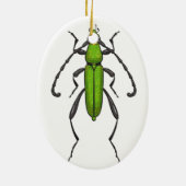 Grünkäfer Keramik Ornament (Hinten)