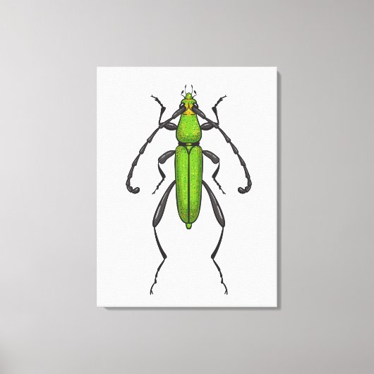 Grünkäfer Leinwanddruck (Vorderseite)