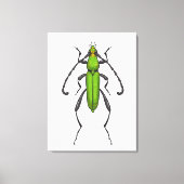 Grünkäfer Leinwanddruck (Vorderseite)