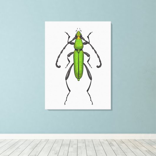 Grünkäfer Leinwanddruck (Insitu (Holzboden))