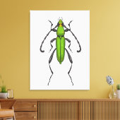Grünkäfer Leinwanddruck (Insitu (Wohnzimmer))