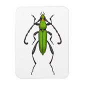 Grünkäfer Magnet (Vertikal)