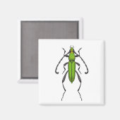 Grünkäfer Magnet (Vorderseite/Rückseite)