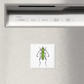 Grünkäfer Magnet (In Situ (Geschirrspüler))