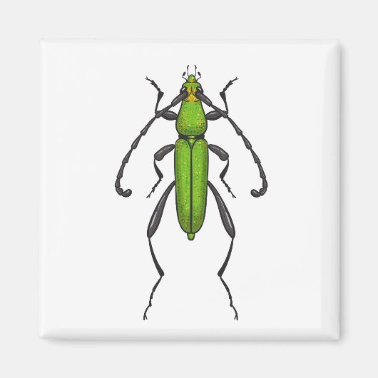 Grünkäfer Magnet (Vorne)