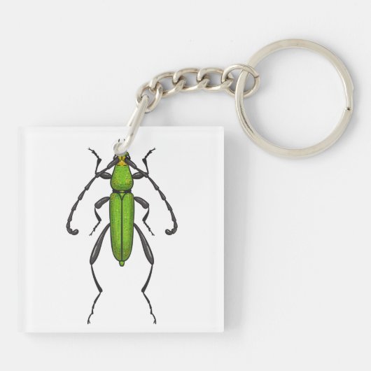 Grünkäfer Schlüsselanhänger (Rückseite)
