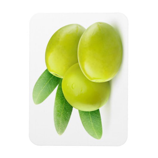 Grünoliven Magnet (Vertikal)