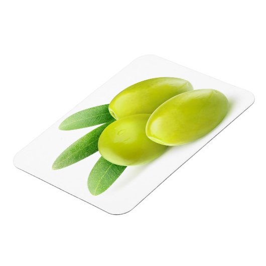 Grünoliven Magnet (Linke Seite)
