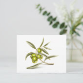 Grünolivenzweig Postkarte (Stehend Vorderseite)