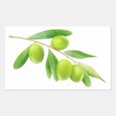 Grünolivenzweig Rechteckiger Aufkleber (Vorderseite)