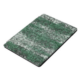Grünölstruktur auf Stöcken und Fäden iPad Pro Cover