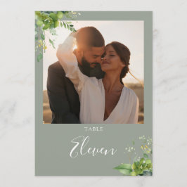 Grünpflanzen Foto Sage Grüne Tischnummer