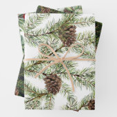 Grünpflanzen. Kiefer, Kegel, Tanne Geschenkpapier Set (Beispiel)