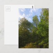 Grünpflanzen Postkarte (Vorne/Hinten)