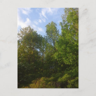 Grünpflanzen Postkarte