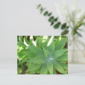 Grünpflanzen Postkarte (Stehend Vorderseite)