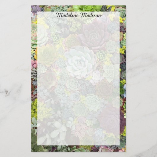 Grünpflanzen Succulents Briefpapier (Vorderseite)