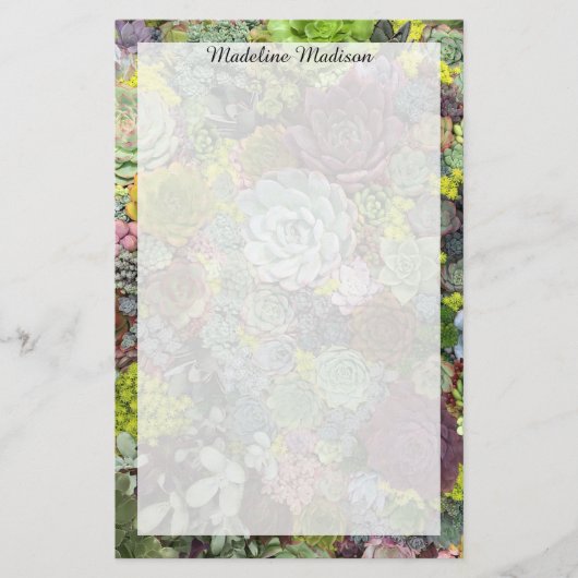 Grünpflanzen Succulents Briefpapier (Vorderseite)