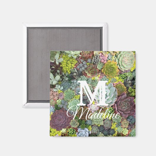 Grünpflanzen Succulents Magnet (Vorderseite/Rückseite)
