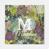 Grünpflanzen Succulents Magnet (Vorne)