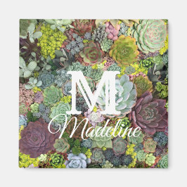 Grünpflanzen Succulents Magnet