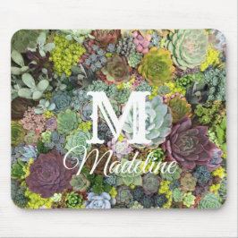 Grünpflanzen Succulents Mousepad