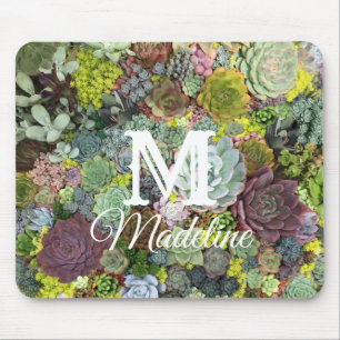 Grünpflanzen Succulents Mousepad