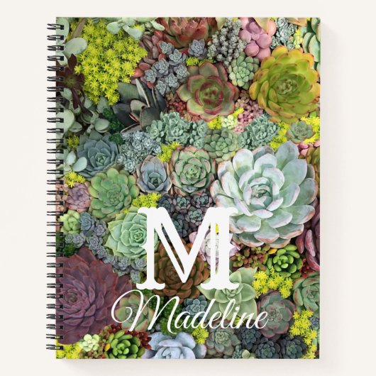 Grünpflanzen Succulents Notizblock (Vorderseite)