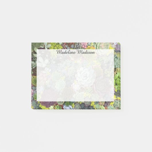 Grünpflanzen Succulents Post-it Klebezettel (Vorderseite)