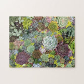 Grünpflanzen Succulents Puzzle (Horizontal)