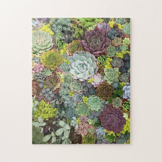 Grünpflanzen Succulents Puzzle (Vertikal)