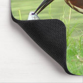 Grünreiher mit Fischen Mousepad 2 (Ecke)
