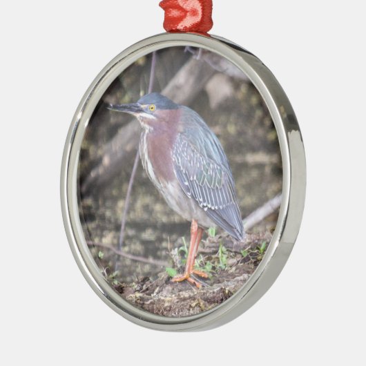 Grünreiher Silbernes Ornament (Links)