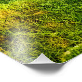 Grünreißfarm Fotodruck (Ecke)