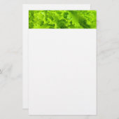 Grünsalat Briefpapier (Vorne/Hinten)