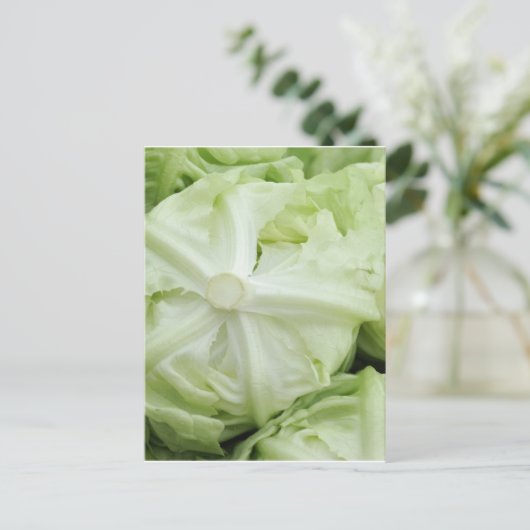 Grünsalat Postkarte (Stehend Vorderseite)
