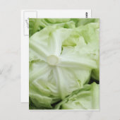 Grünsalat Postkarte (Vorne/Hinten)
