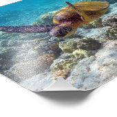 Grünschildkröte Fotodruck (Ecke)