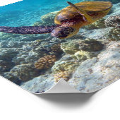 Grünschildkröte Poster (Ecke)