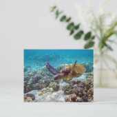 Grünschildkröte Postkarte (Stehend Vorderseite)