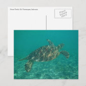 Grünschildkröte Postkarte (Vorne/Hinten)