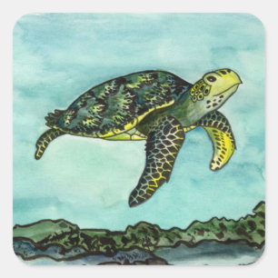 Grünschildkröte schwimmen quadratischer aufkleber