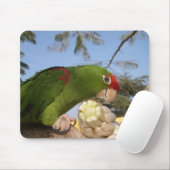 Grünsittich Mousepad (Mit Mouse)